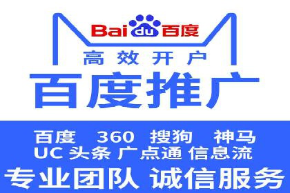 成功运用SEM技术提升网站流量的案例研究